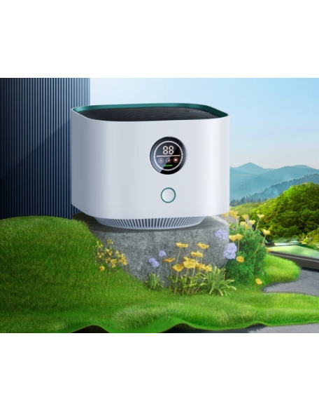 Air purifier, household formaldehyde removal and disinfection machine