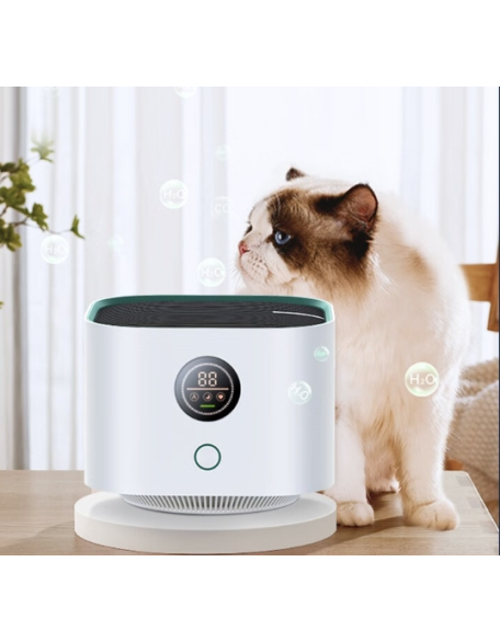 Air purifier, household formaldehyde removal and disinfection machine